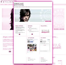 Nueva web DEGAS Estilistas